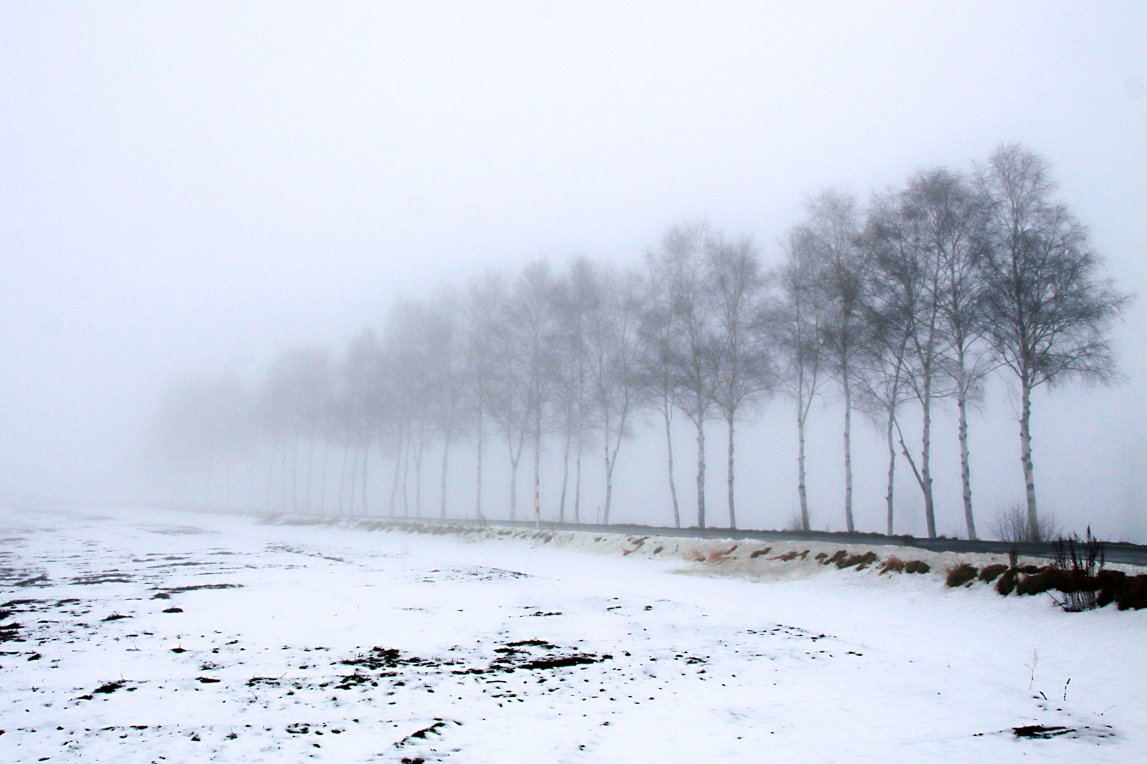 hokkaido-biei-snow-winter-fog-atmospheric-phenomenon-1631607-pxhere.com